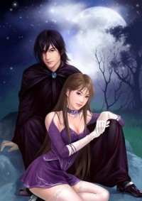 女縣長男秘書：權力坦途